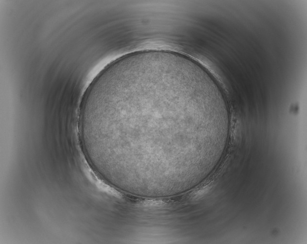 X0000110931094200907021517