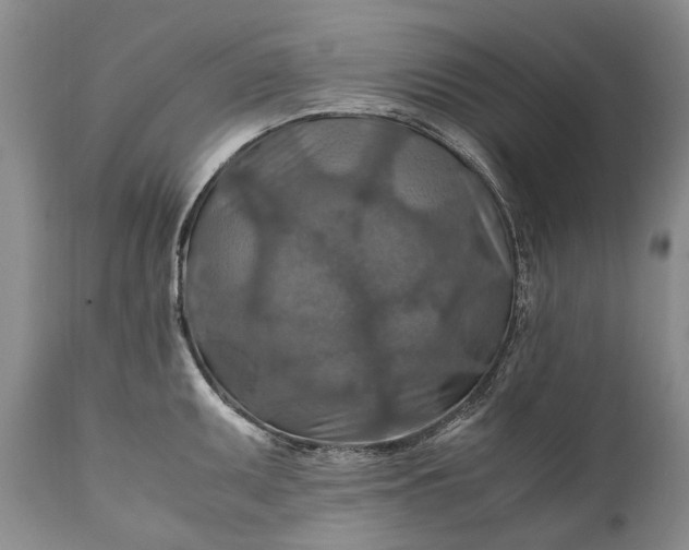 X0000110931095200907021517