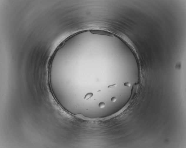 X0000110931096200907021517