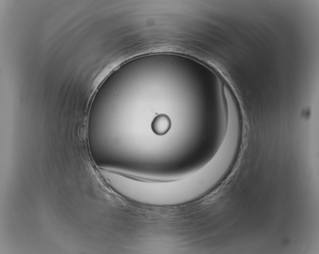 X0000110931097200907021517