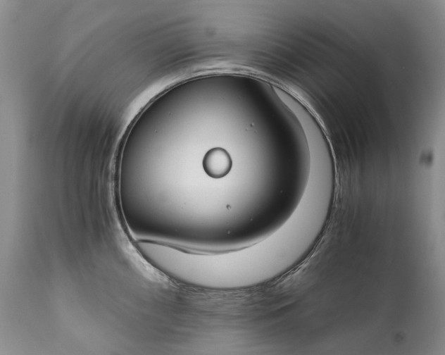 X0000110931098200907021517