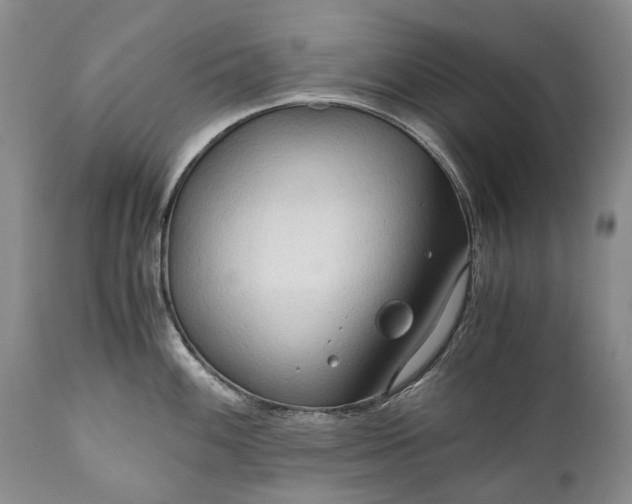 X0000110931100200907021517