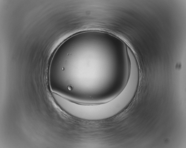 X0000110931101200907021517