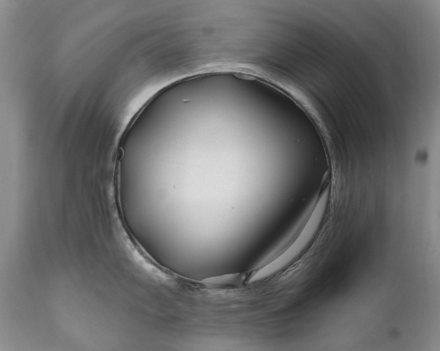 X0000110931102200907021517