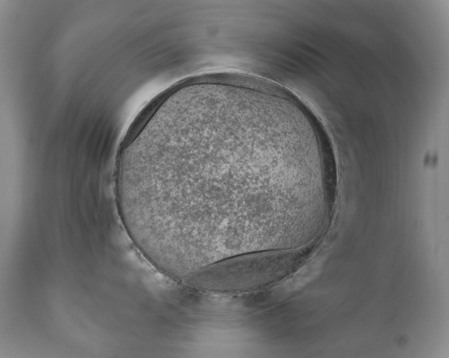X0000110931104200907021517
