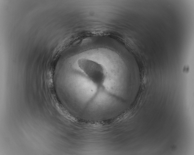 X0000110931106200907021516