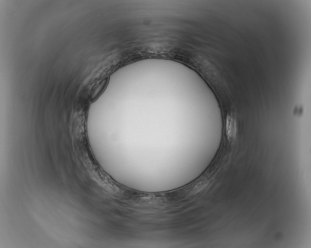 X0000110931107200907021516