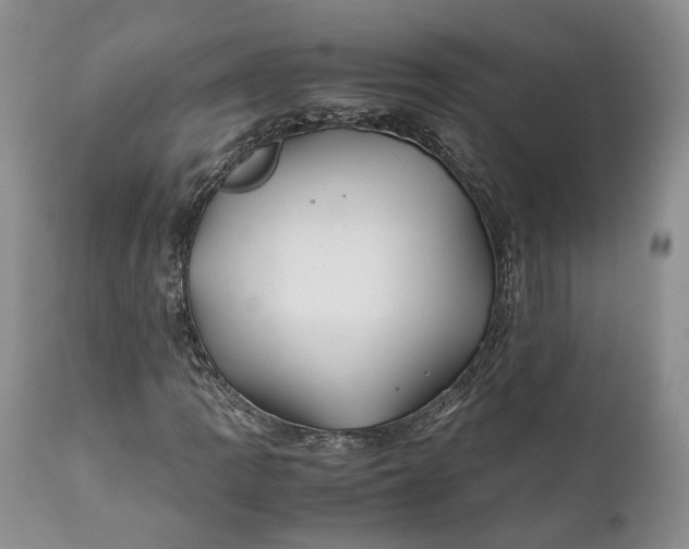X0000110931109200907021516