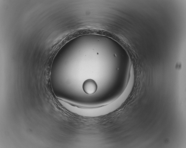 X0000110931110200907021516