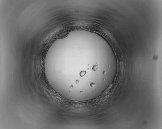 X0000110931111200907021516