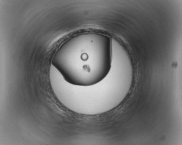X0000110931112200907021516