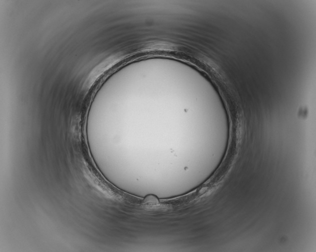 X0000110931113200907021516
