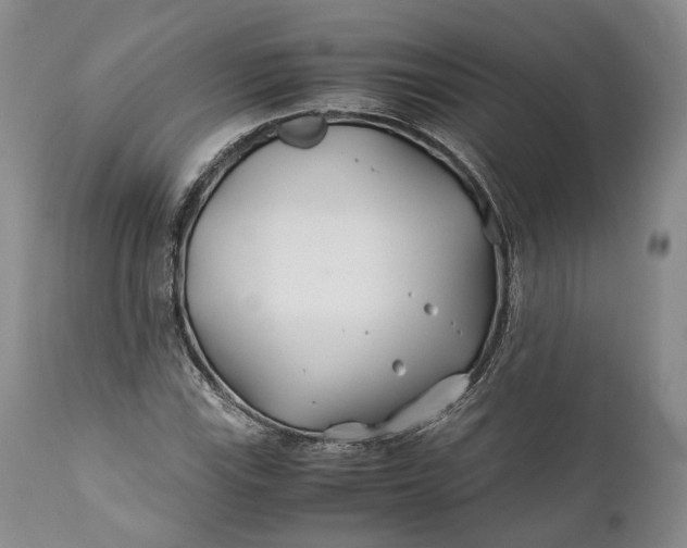 X0000110931115200907021516