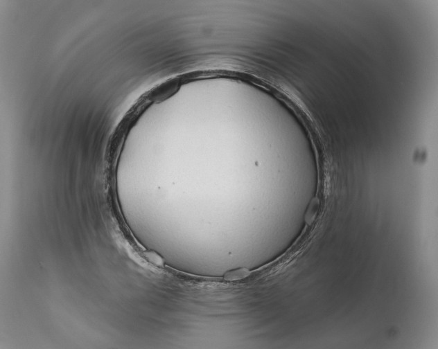 X0000110931116200907021516