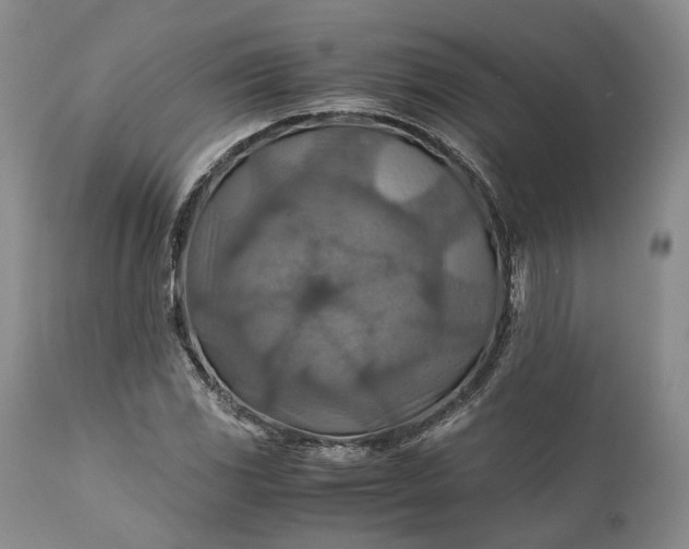 X0000110931117200907021516