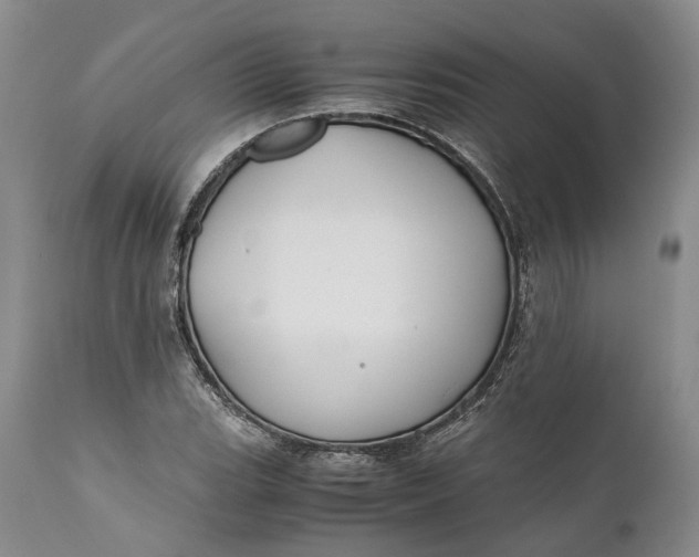 X0000110931119200907021516