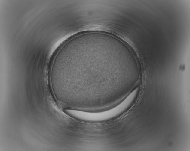 X0000110931120200907021516