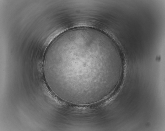 X0000110931121200907021516