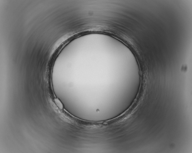 X0000110931122200907021516