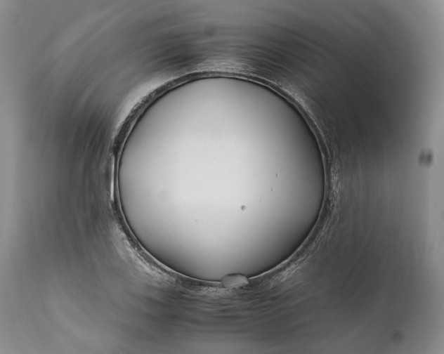 X0000110931123200907021516