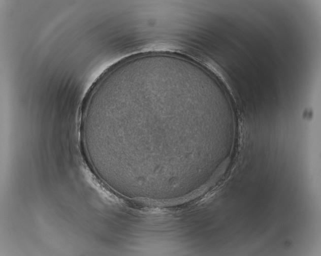 X0000110931124200907021516