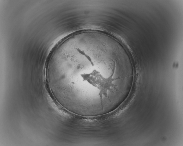 X0000110931125200907021516