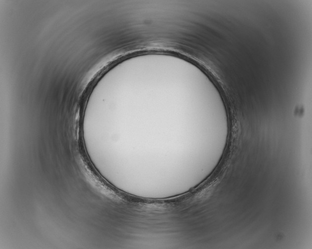 X0000110931126200907021516