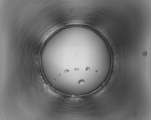 X0000110931129200907021516