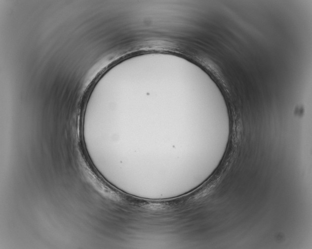 X0000110931130200907021516