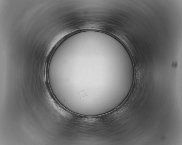 X0000110931131200907021516