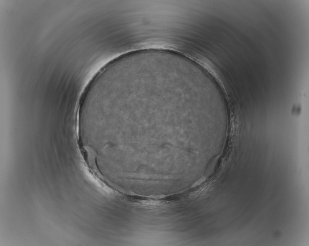 X0000110931132200907021516