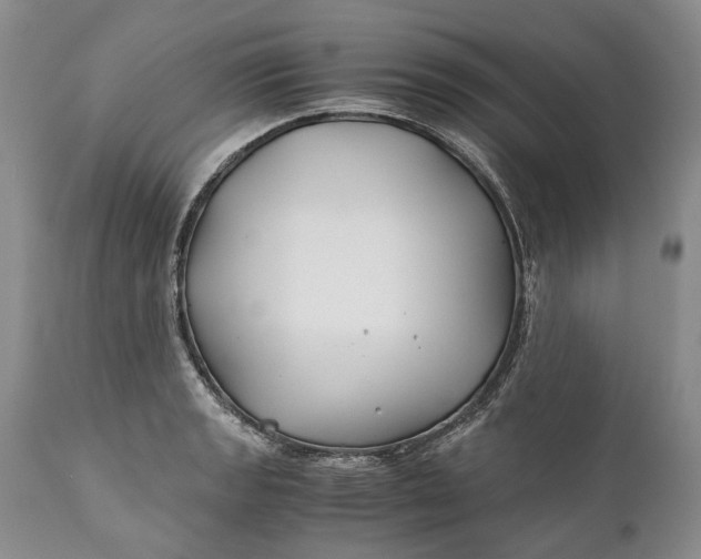 X0000110931133200907021516