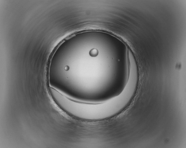 X0000110931134200907021516