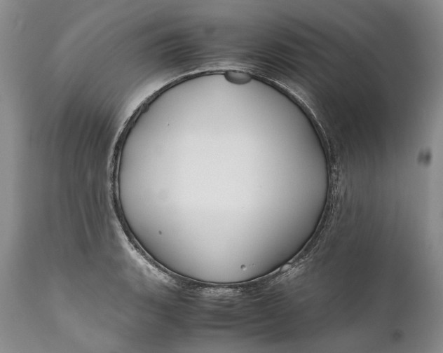X0000110931135200907021516
