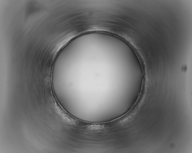 X0000110931137200907021516