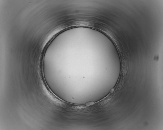 X0000110931139200907021516
