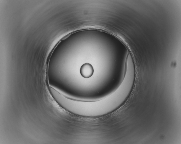X0000110931140200907021516