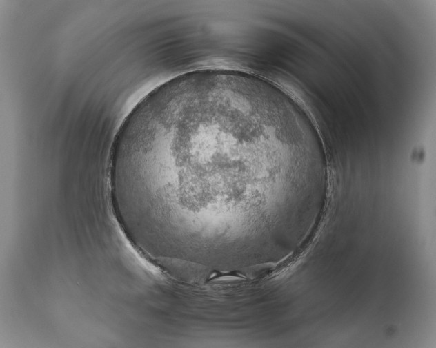 X0000110931141200907021516