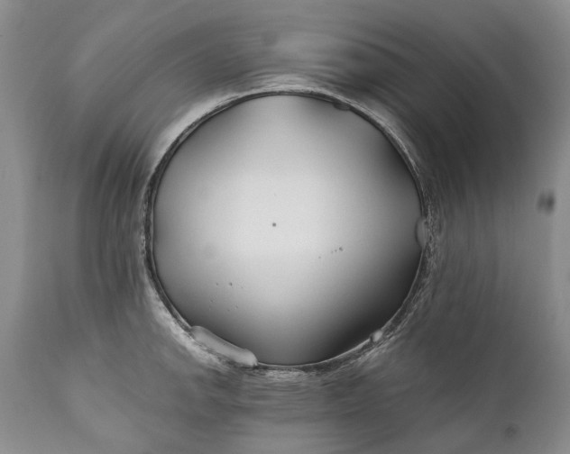 X0000110931142200907021516