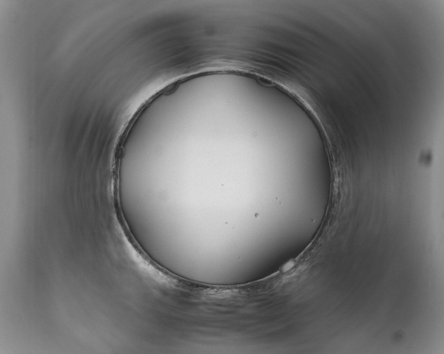 X0000110931143200907021516
