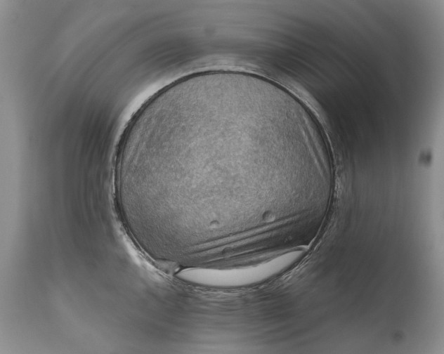 X0000110931144200907021516