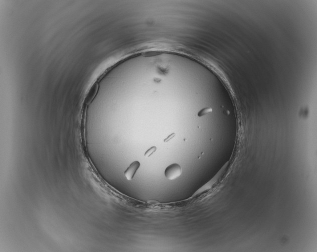 X0000110931146200907021516