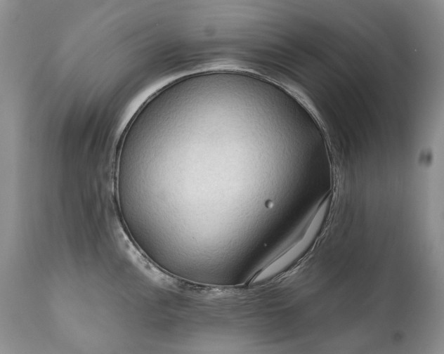 X0000110931148200907021517