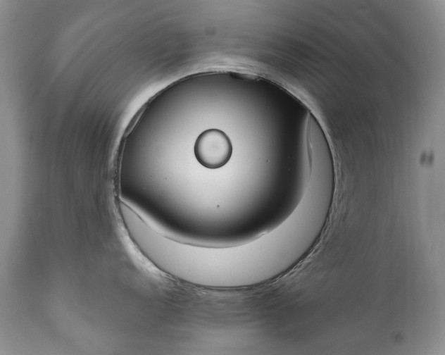 X0000110931152200907021517