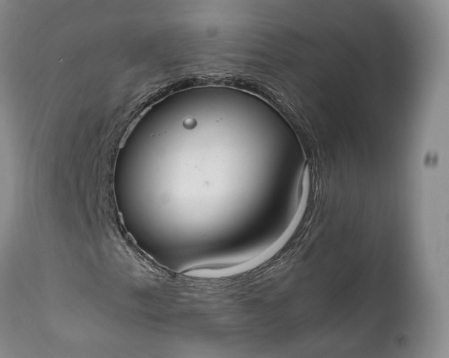 X0000110931153200907021516