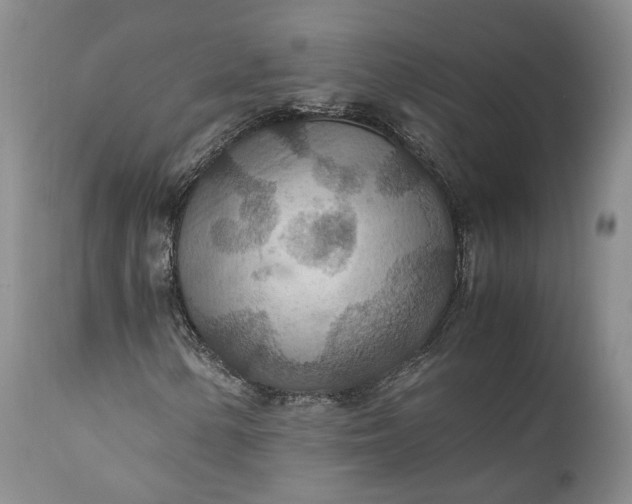 X0000110931154200907021516