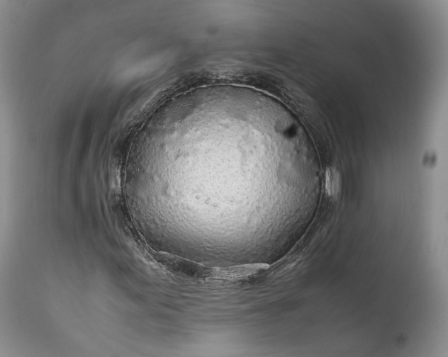 X0000110931155200907021516