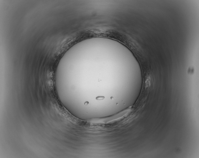 X0000110931156200907021516