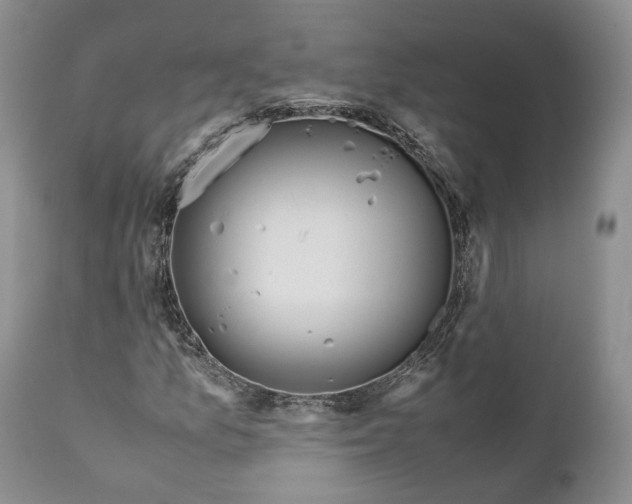 X0000110931157200907021516