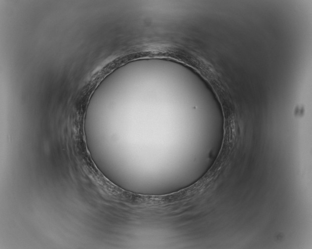 X0000110931158200907021516